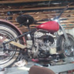 Meet your Posher, Augie